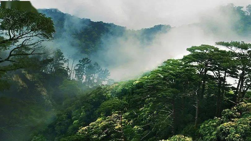 特朗普卷土重来，多个美国盟友“恐慌”，马克龙重提战略自主
