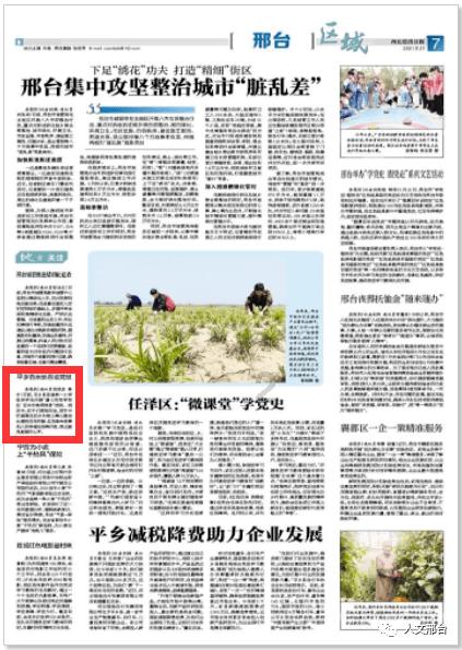 燃烧吧大脑免广告最新版