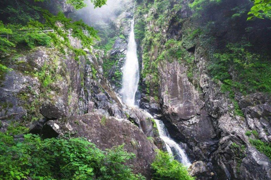 全民剧本大师内置菜单